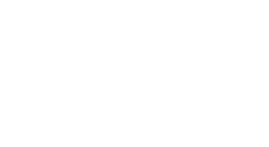 IES