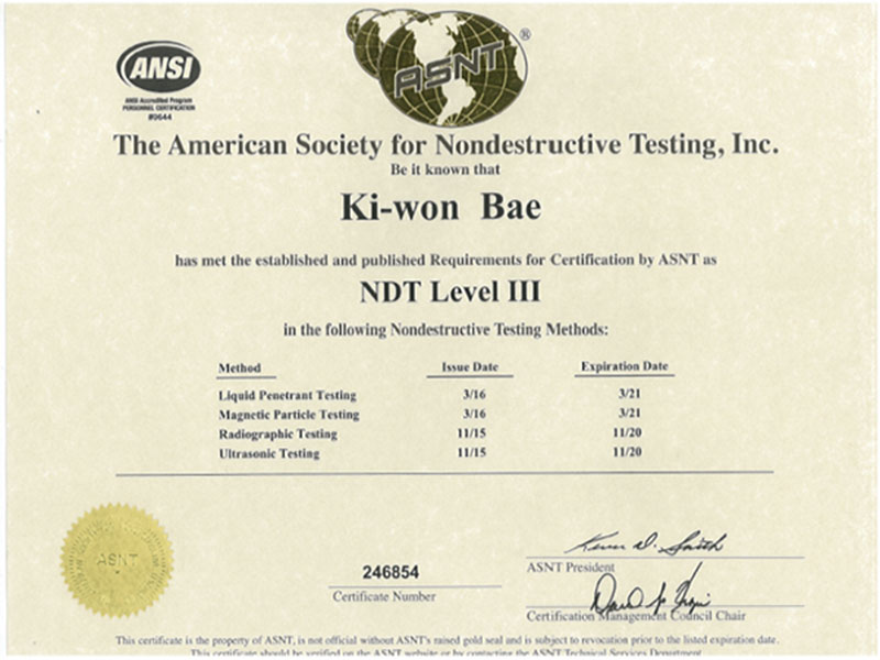 Inspector Certificate 9